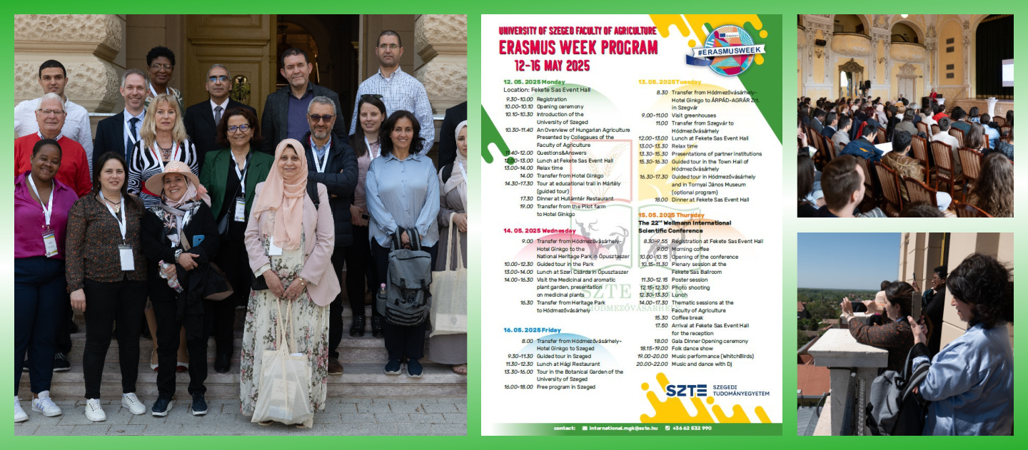 Erasmus_week_F