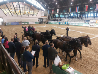 553328195_1452712219356139_4316965517540778745_n 553328195_1452712219356139_4316965517540778745_n