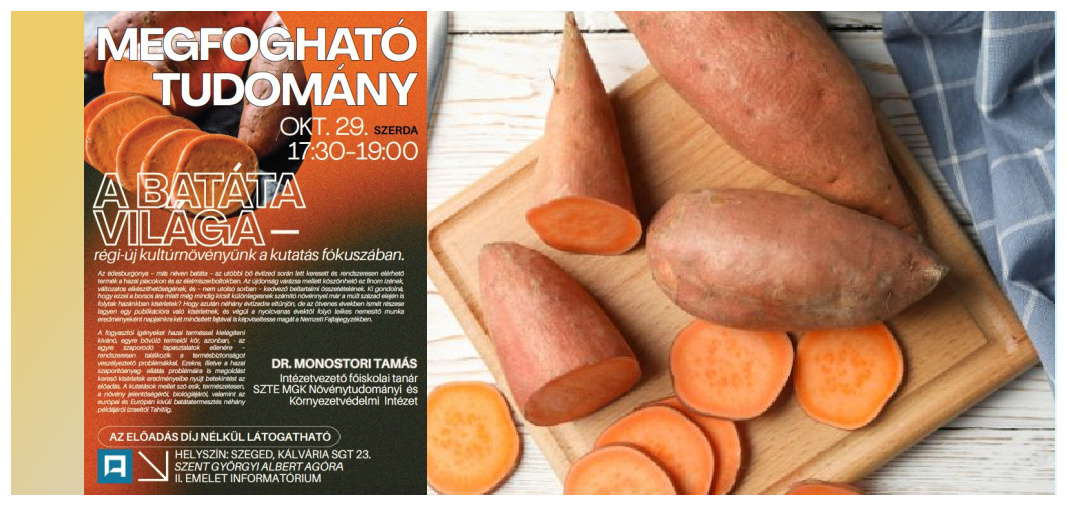 borito_A_batata_vilaga