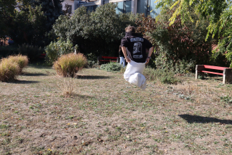 IMG_1851 IMG_1851