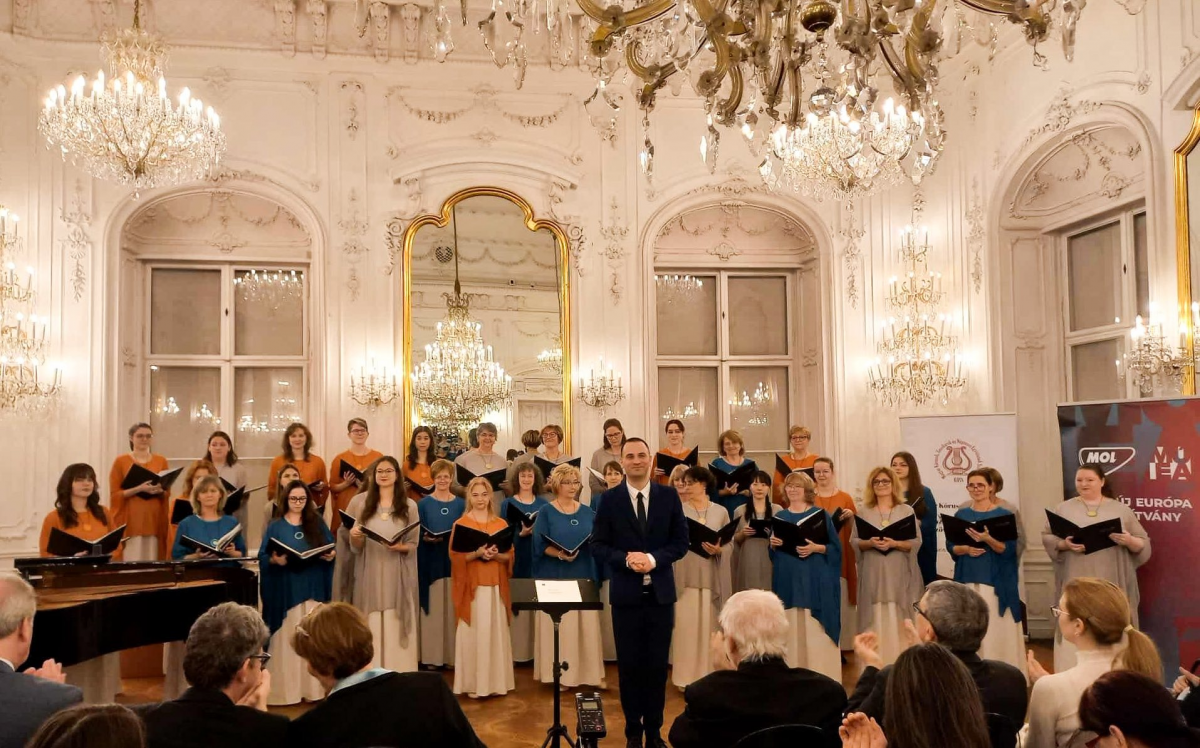 Valkai_David_korusfellepes3 Valkai_David_korusfellepes3