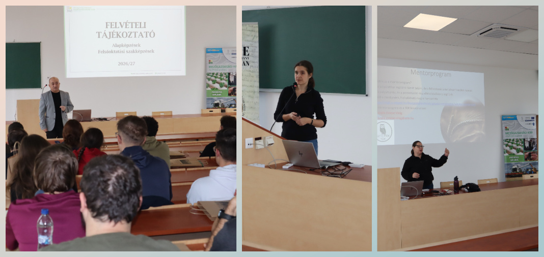 Facebook_Ad_copy_457